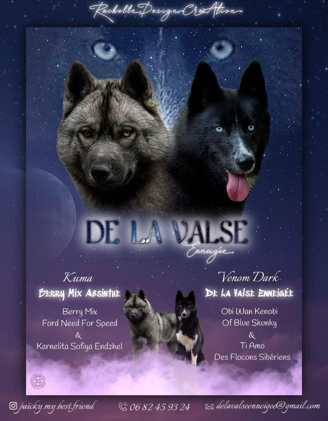 Chiot Siberian Husky de la valse enneigée